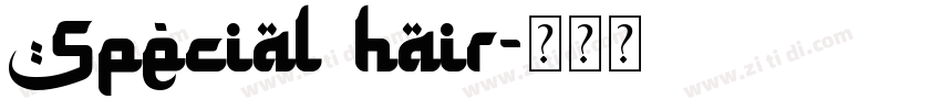 Special hair字体转换